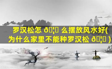 罗汉松怎 🦟 么摆放风水好(为什么家里不能种罗汉松 🦅 )